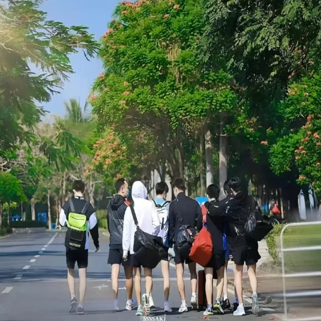 球迷热议与体育媒体视角的最新碰撞剖析
